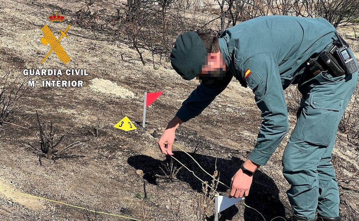 Imagen de archivo de un agente del Seprona inspeccionando un terreno quemado.