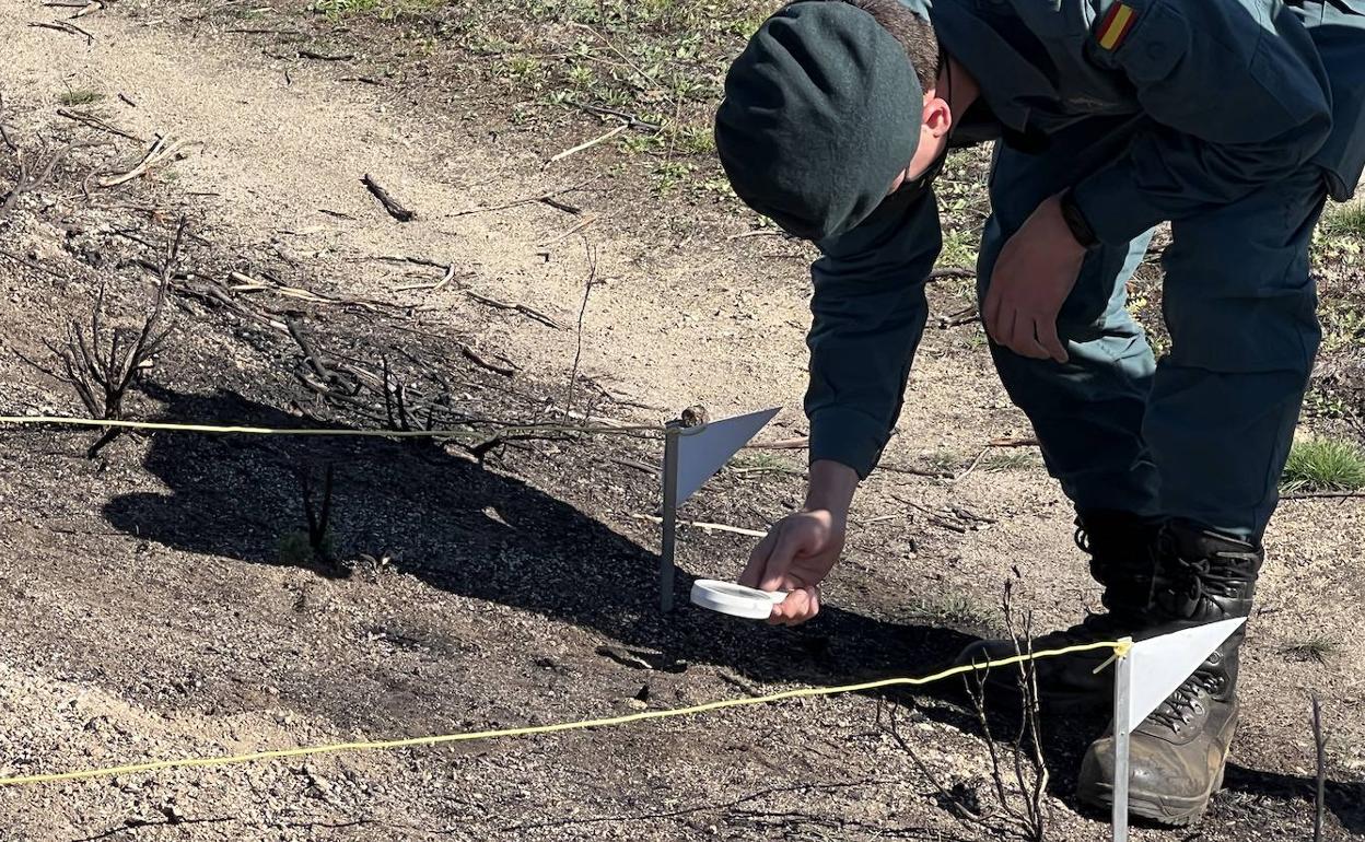 Los banderines blancos