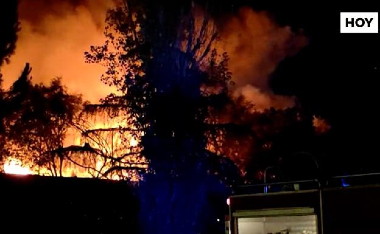 Estas son las cinco noticias con vídeo más vistas de la semana