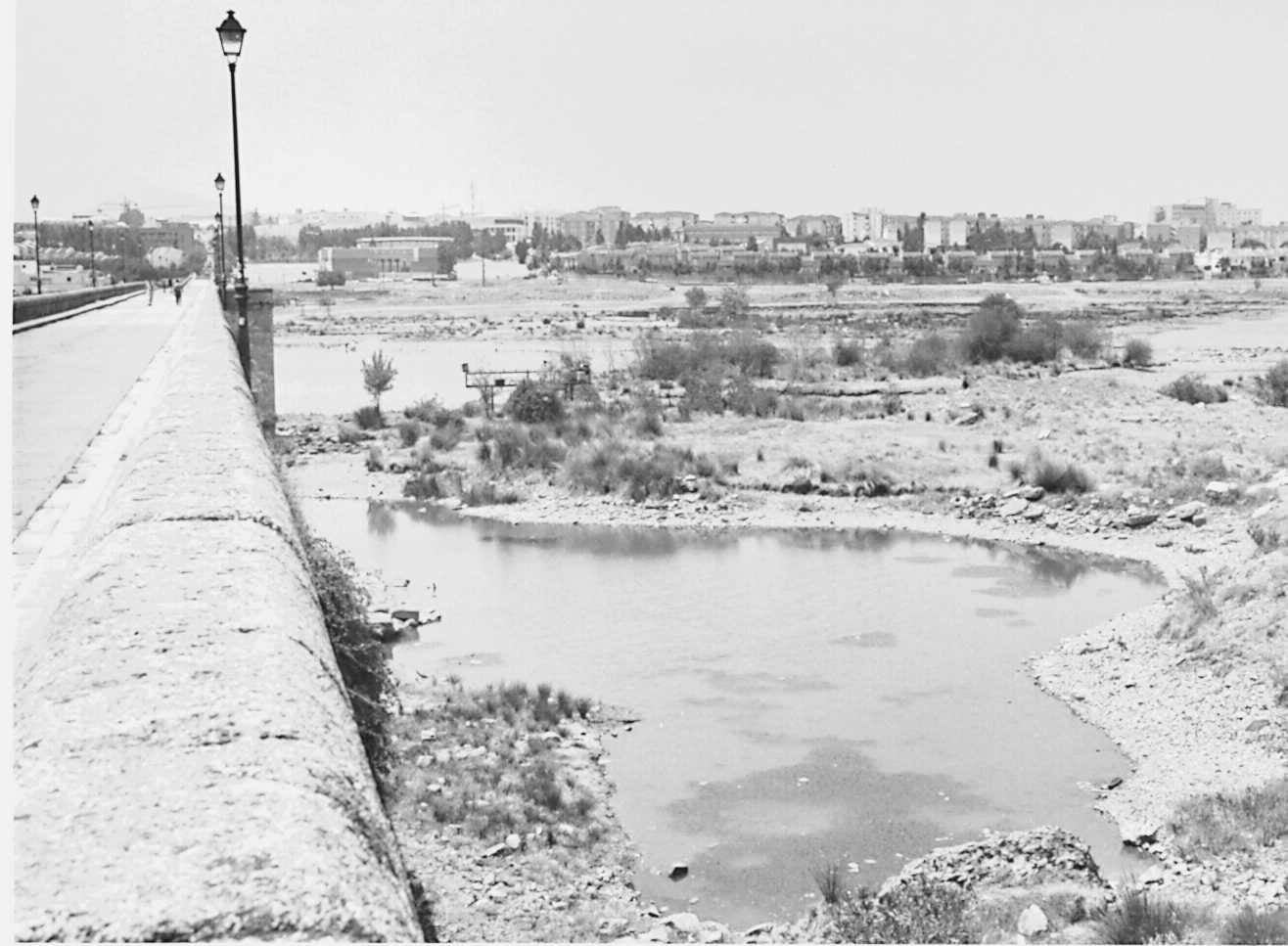 El Guadiana a su paso por Mérida