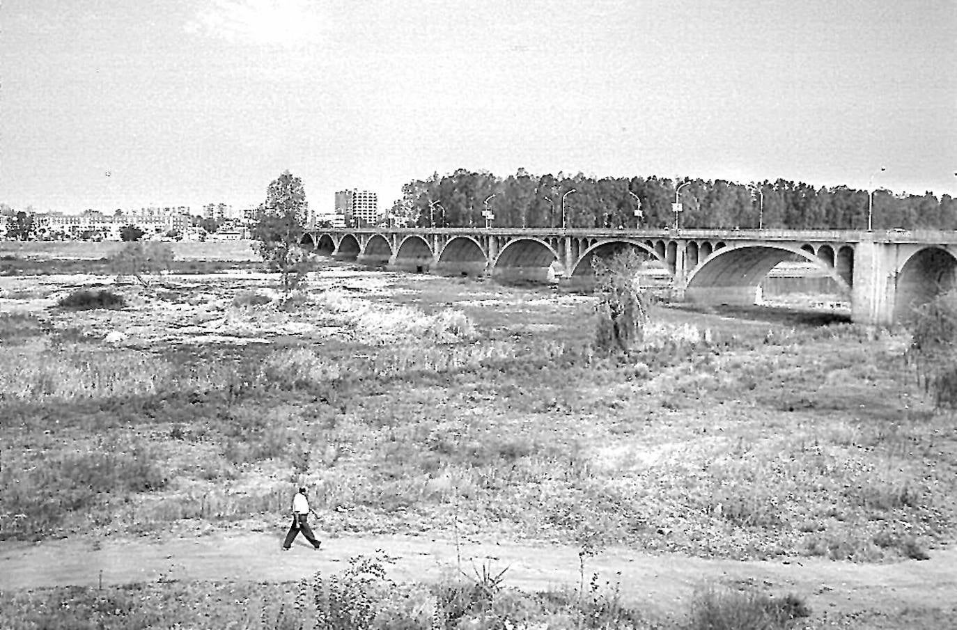 Puente de la Universidad (Badajoz)