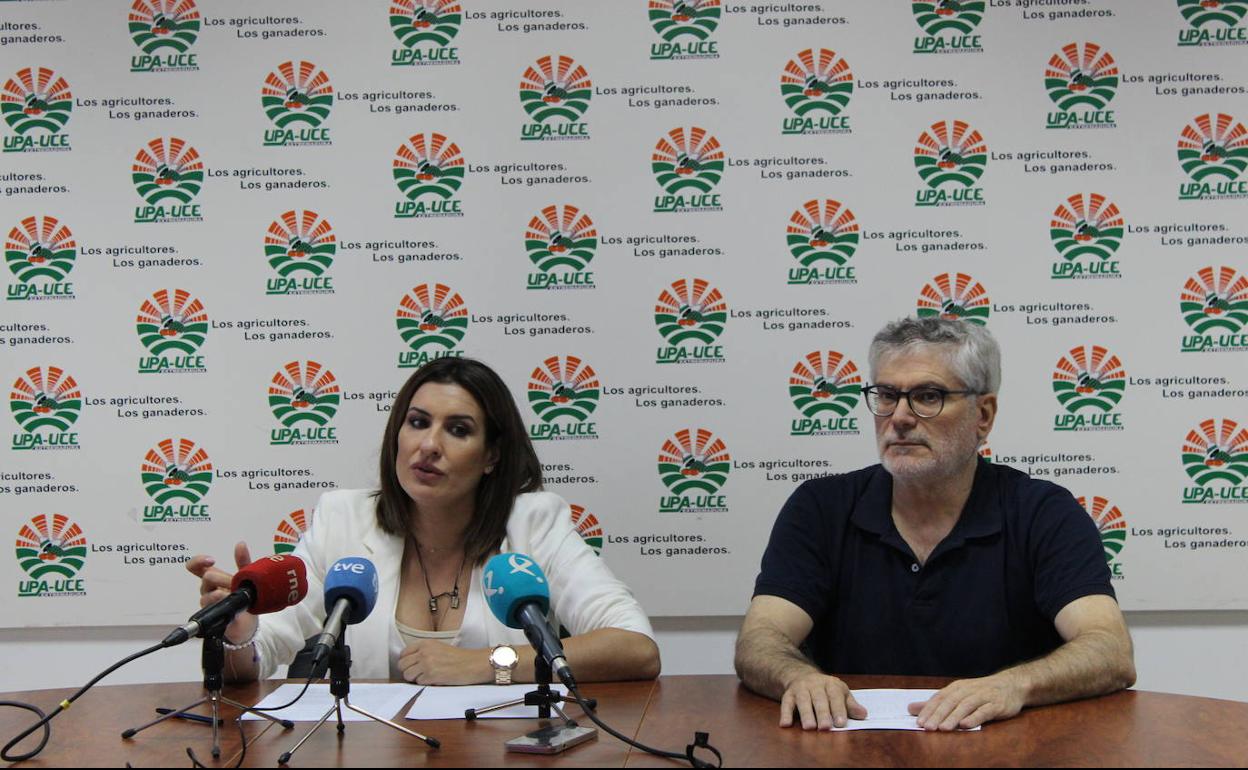 Rueda de prensa de la responsable del vino de UPA-UCE, Catalina García.