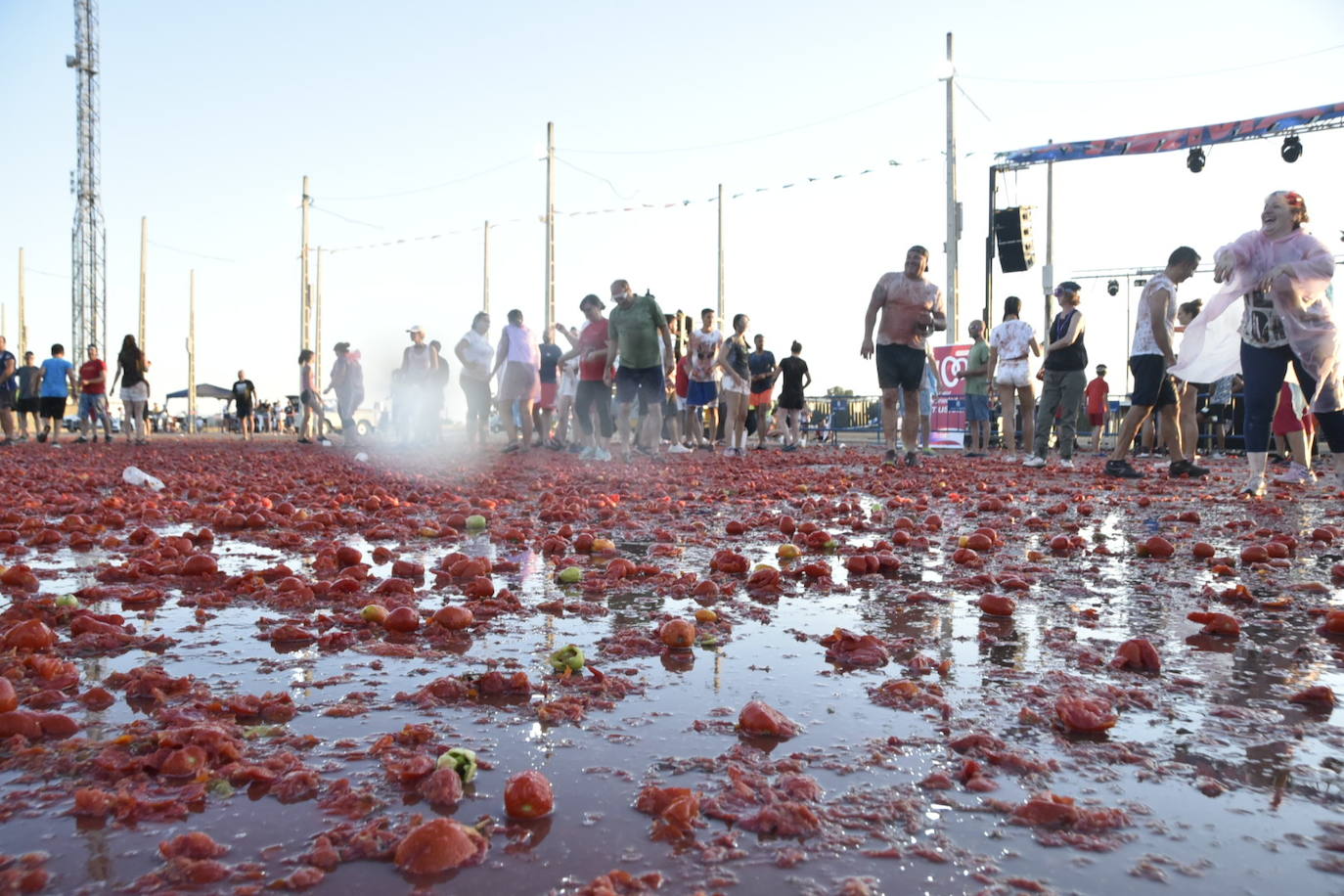 Fotos: Las mejores imágenes de la I Tomatá de Talavera la Real