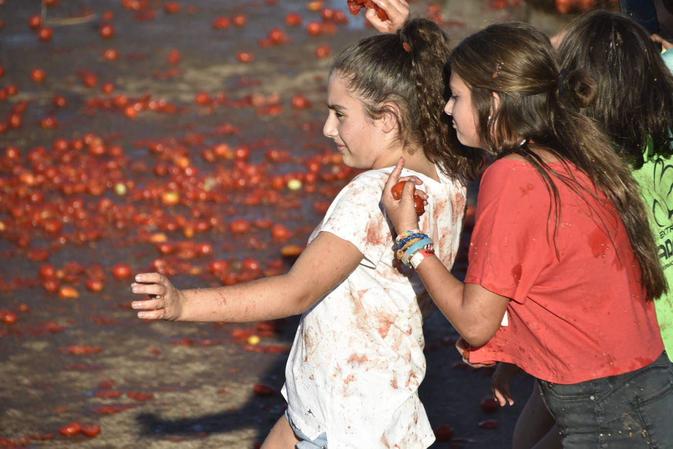 Fotos: Las mejores imágenes de la I Tomatá de Talavera la Real