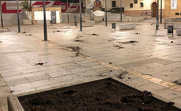 Las flores de la plaza arrancadas y destrozadas. 