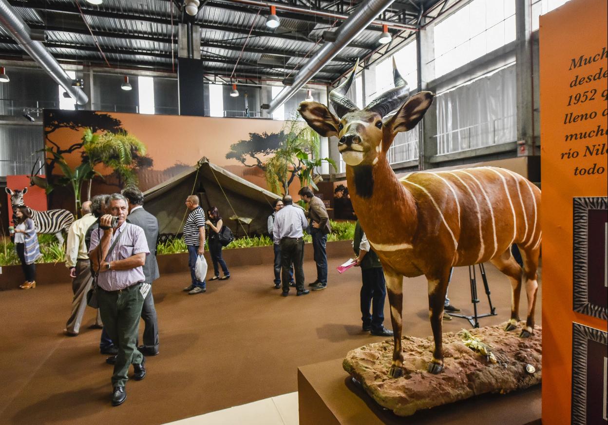 Imagen de una edición pasada de Feciex. 