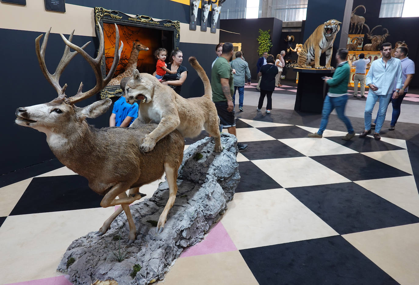 Fotos: La Feria de la Caza, Pesca y Naturaleza Ibérica abre sus puertas en Badajoz