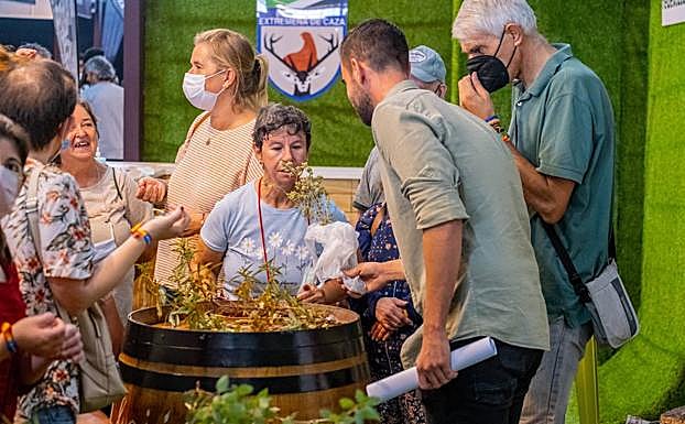 Talleres de Cazaterapia. 