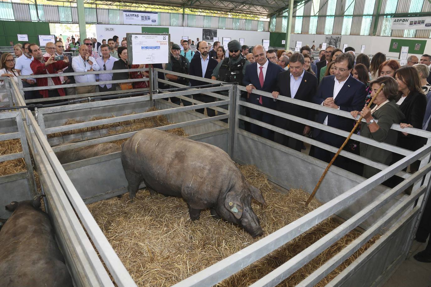 Inauguración Feria Ganadera de Zafra