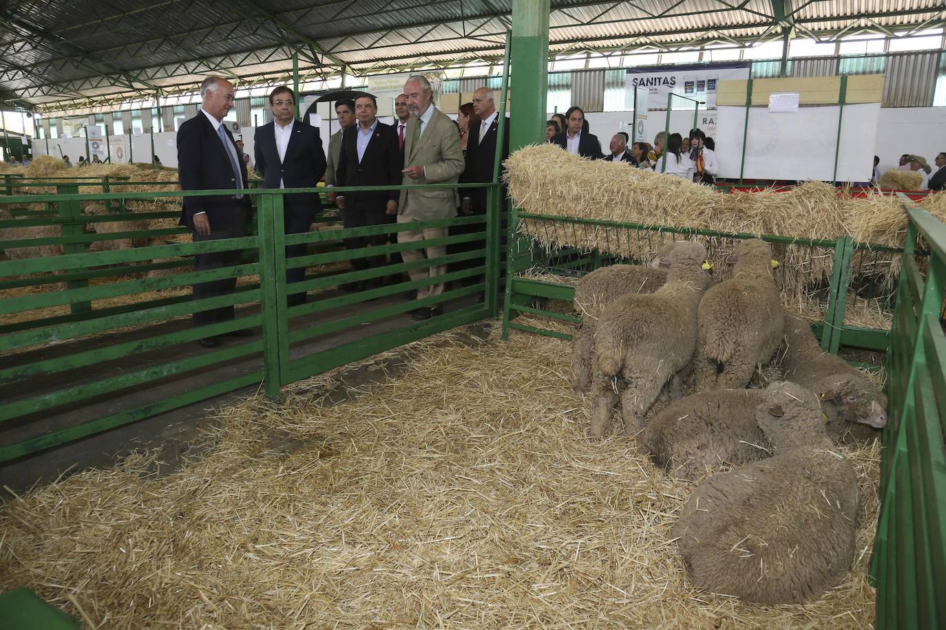 Inauguración Feria Ganadera de Zafra