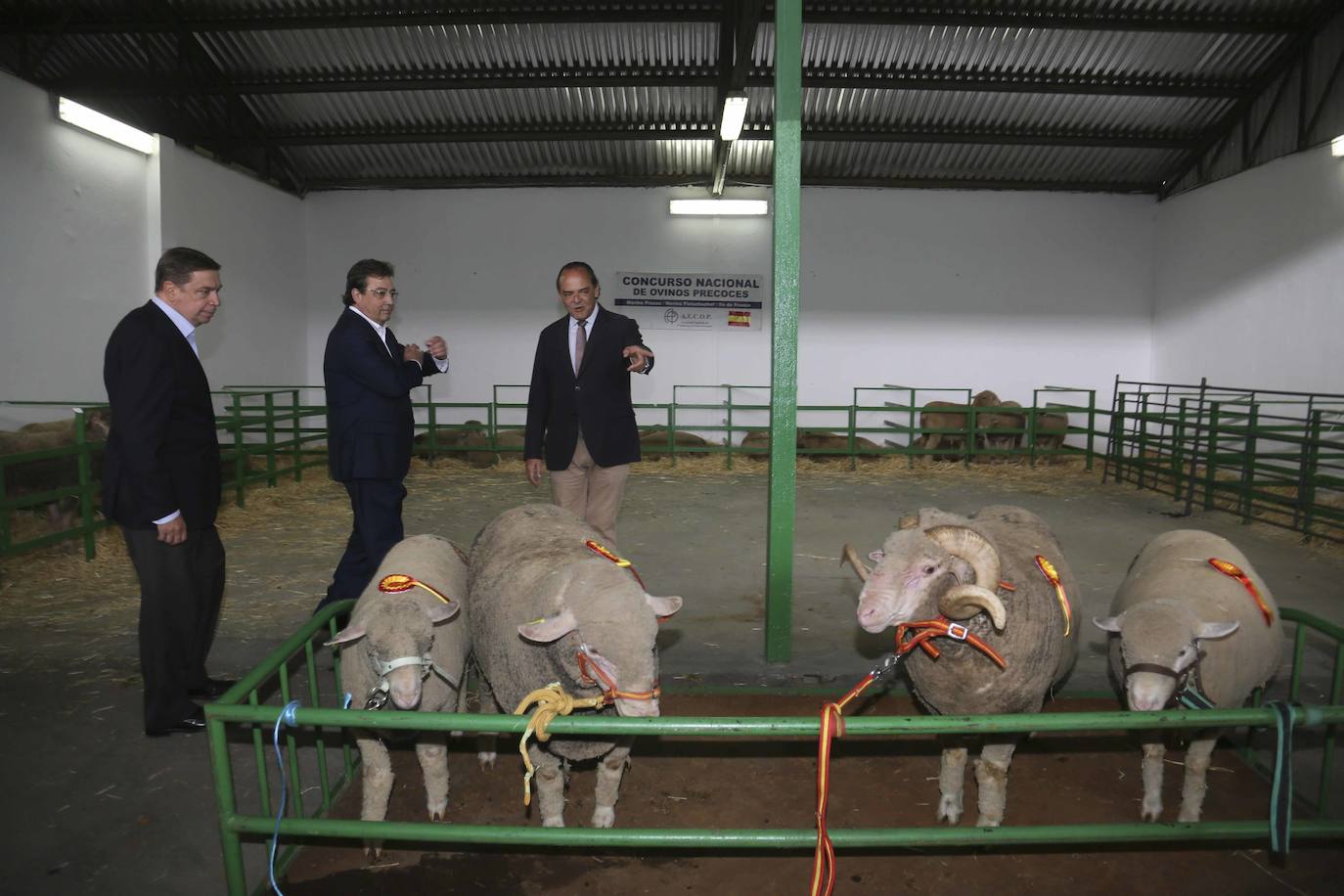 Fotos: Imágenes del primer día de la Feria Internacional Ganadera de Zafra