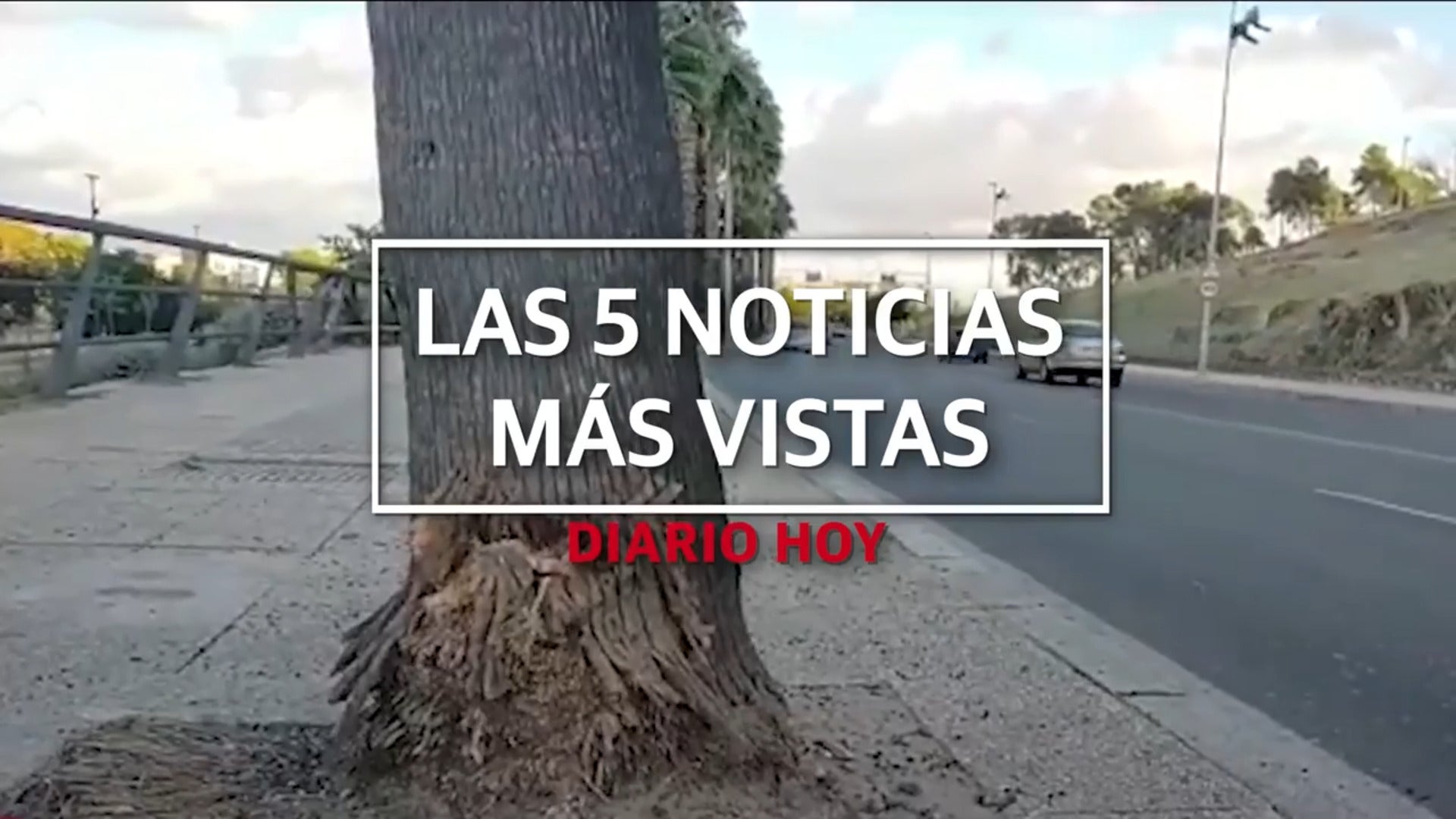 Las 5 noticias más vistas