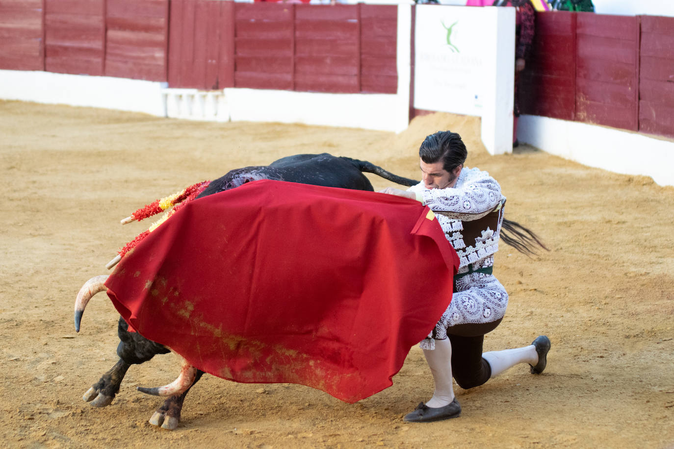 Tarde triunfal, la primera de las dos que componen la Feria taurina de Zafra, donde el público se divirtió con la actuación de los tres toreros y el buen juego en líneas generales de la corrida de Álvaro Núñez. 