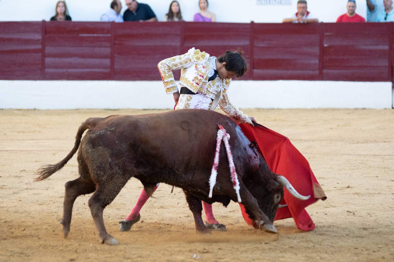 Tarde triunfal, la primera de las dos que componen la Feria taurina de Zafra, donde el público se divirtió con la actuación de los tres toreros y el buen juego en líneas generales de la corrida de Álvaro Núñez. 