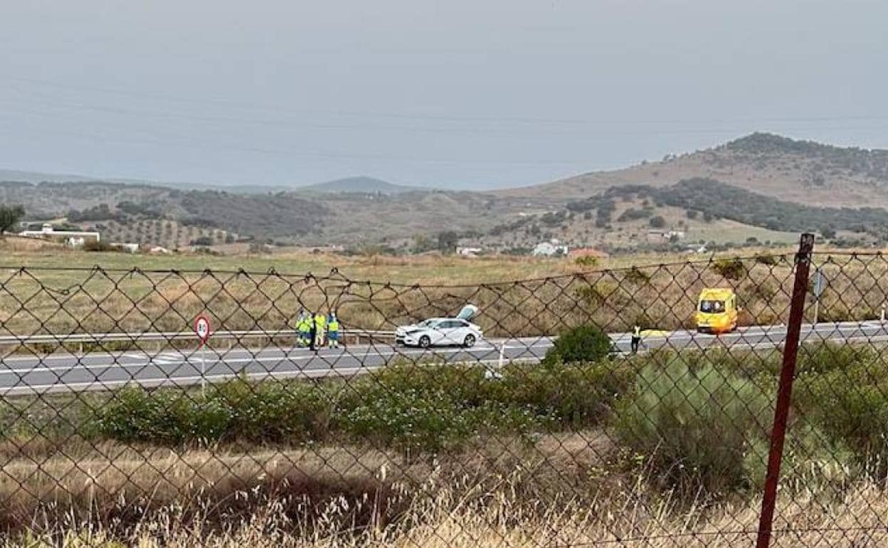 El atropello ha tenido lugar en la N-435, km 72 (cruce de Encinasola), en Jerez de los Caballeros.