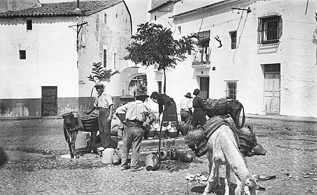 Imagen en Extremadura, en un lugar aún no identificado. 