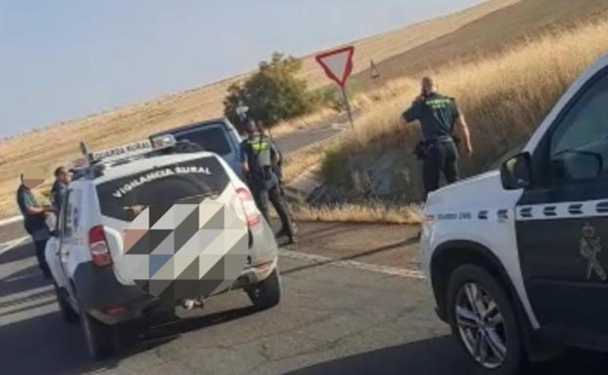 Fedexcaza se personará contra los galgueros furtivos sorprendidos en Fuente de Cantos