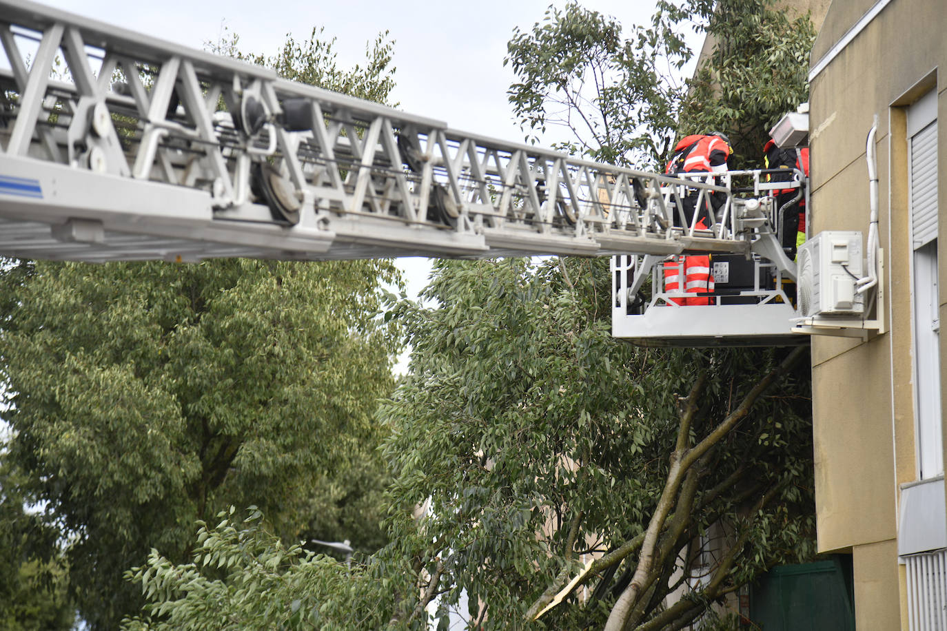 Fotos: La borrasca Béatrice causa desperfectos en Badajoz