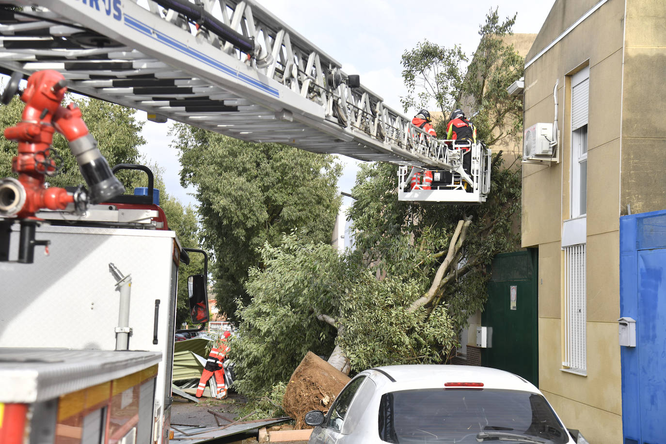 Fotos: La borrasca Béatrice causa desperfectos en Badajoz