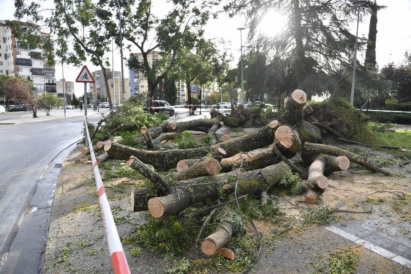 Fotos: La borrasca Béatrice causa desperfectos en Badajoz