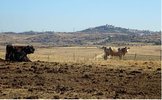 Trujillo al fondo. Es el destino al salir de La Cumbre. 