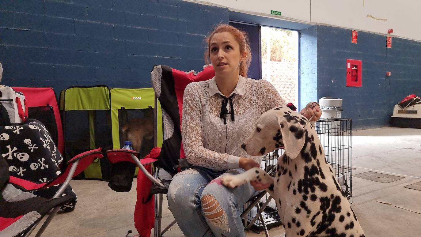 Fotos: Mérida acoge una exposición nacional canina
