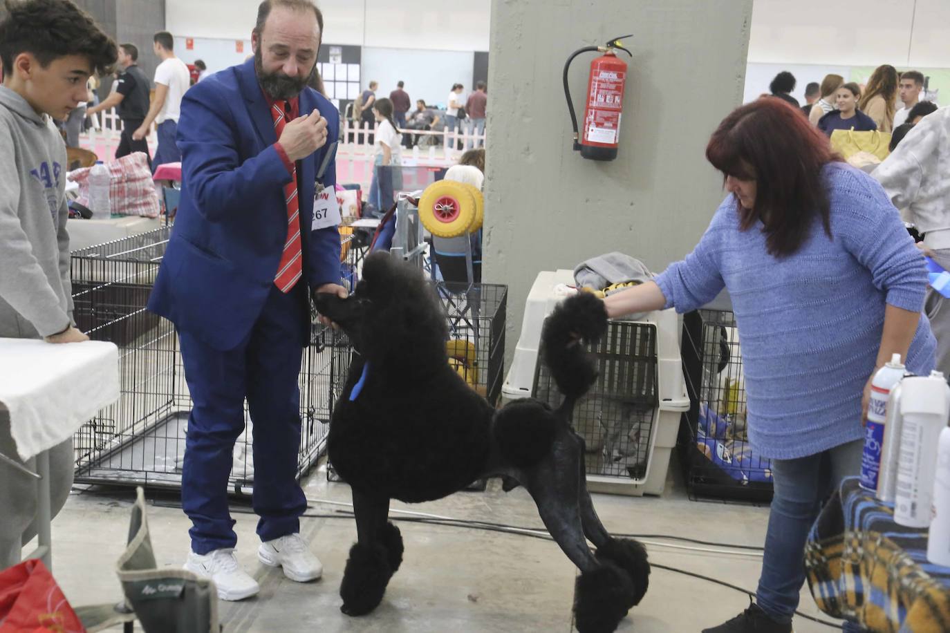 Fotos: Mérida acoge una exposición nacional canina