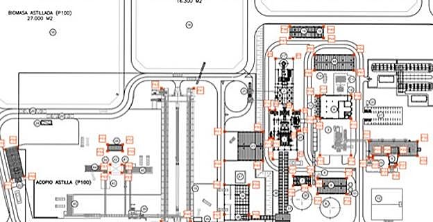 Detalle de la planta. 