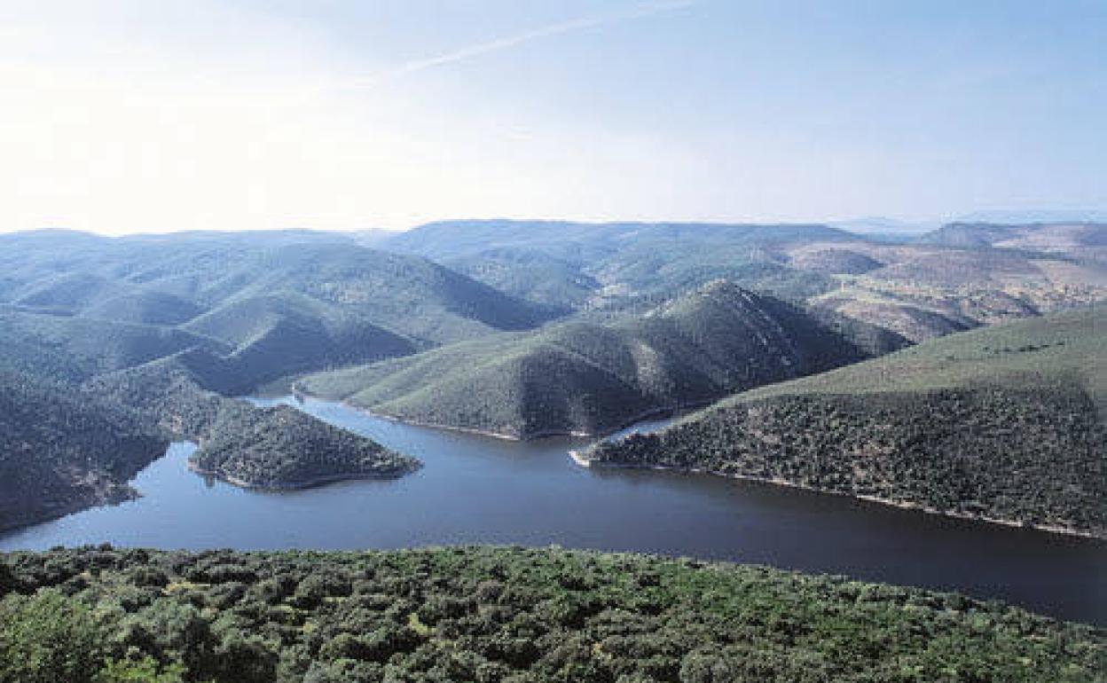 ¿Qué actividades hay este fin de semana dentro del Mes de la Biosfera de Monfragüe y Tajo Internacional?