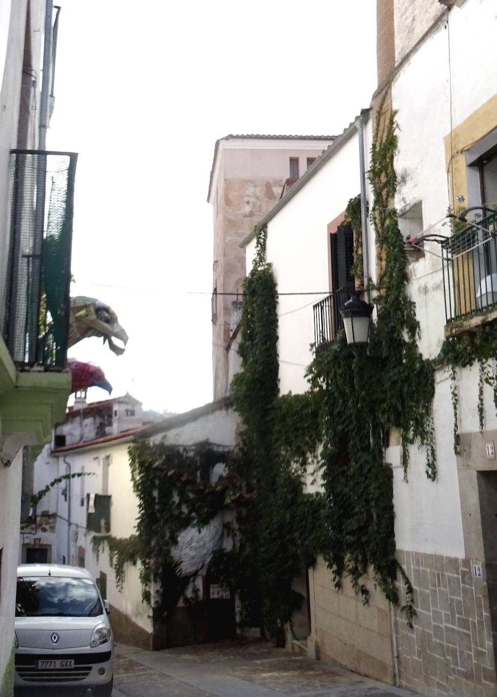 Pájaros de metal que adornan la calle Hornillo en donde está la torre remodelada.