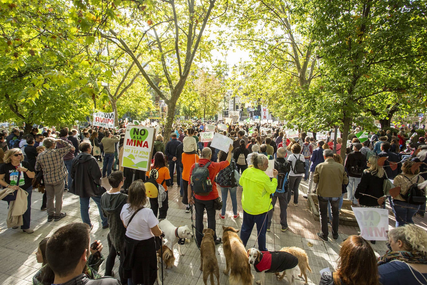 Fotos: Los cacereños gritan «¡No a la mina!» y muestran su disgusto con la Junta y Salaya