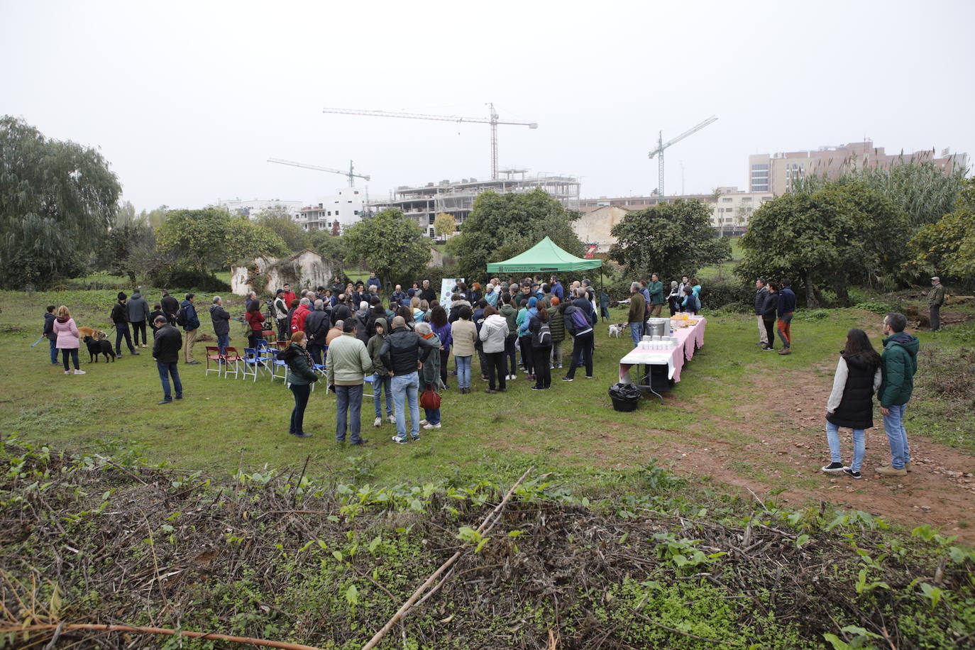 Fotos: Plantación de 38 olmos resistente a la grafiosis en la &#039;Ribera de la comunicación&#039;