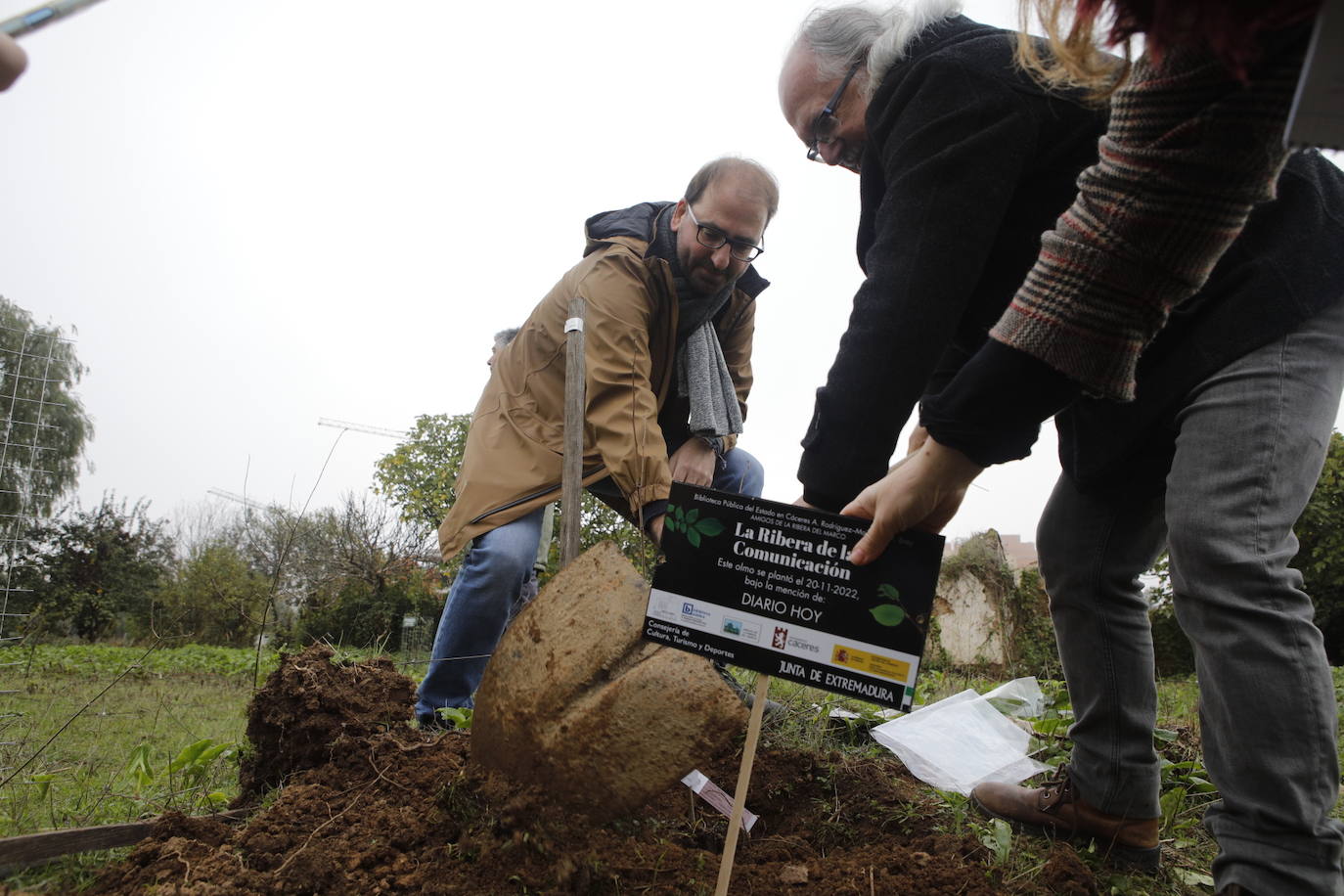 Fotos: Plantación de 38 olmos resistente a la grafiosis en la &#039;Ribera de la comunicación&#039;