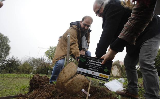 Imagen. Claudio Mateos, delegado de HOY en Cáceres, y el redactor Sergio Lorenzo plantan el árbol dedicado a este diario. 