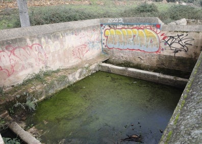 Imagen secundaria 1 - Las fuentes históricas de Cáceres se ahogan en el abandono