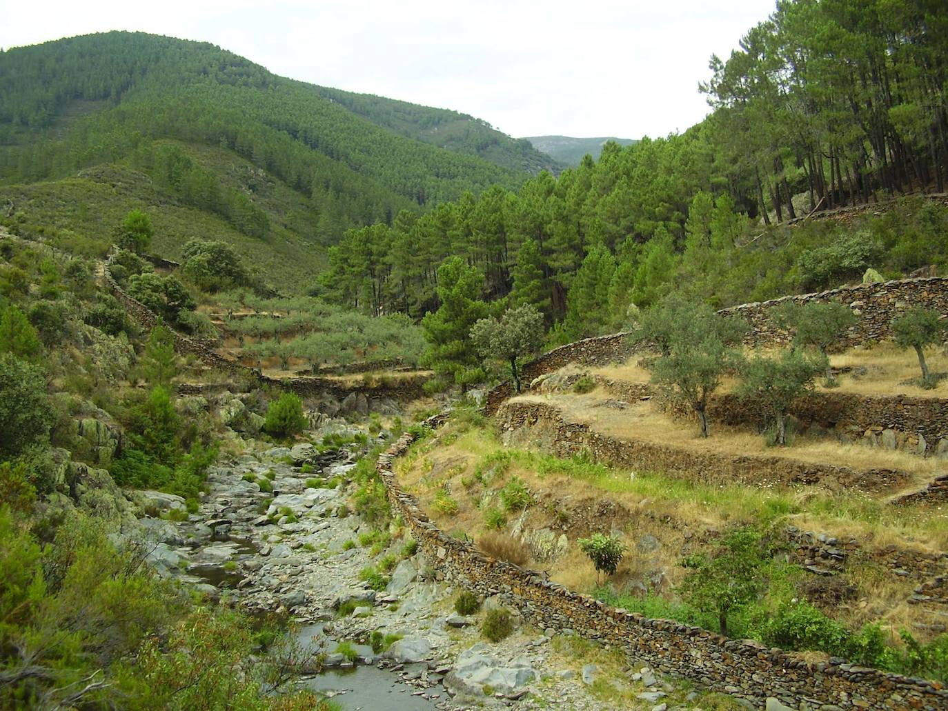Paraje cercano a la localidad de Descargamaría.