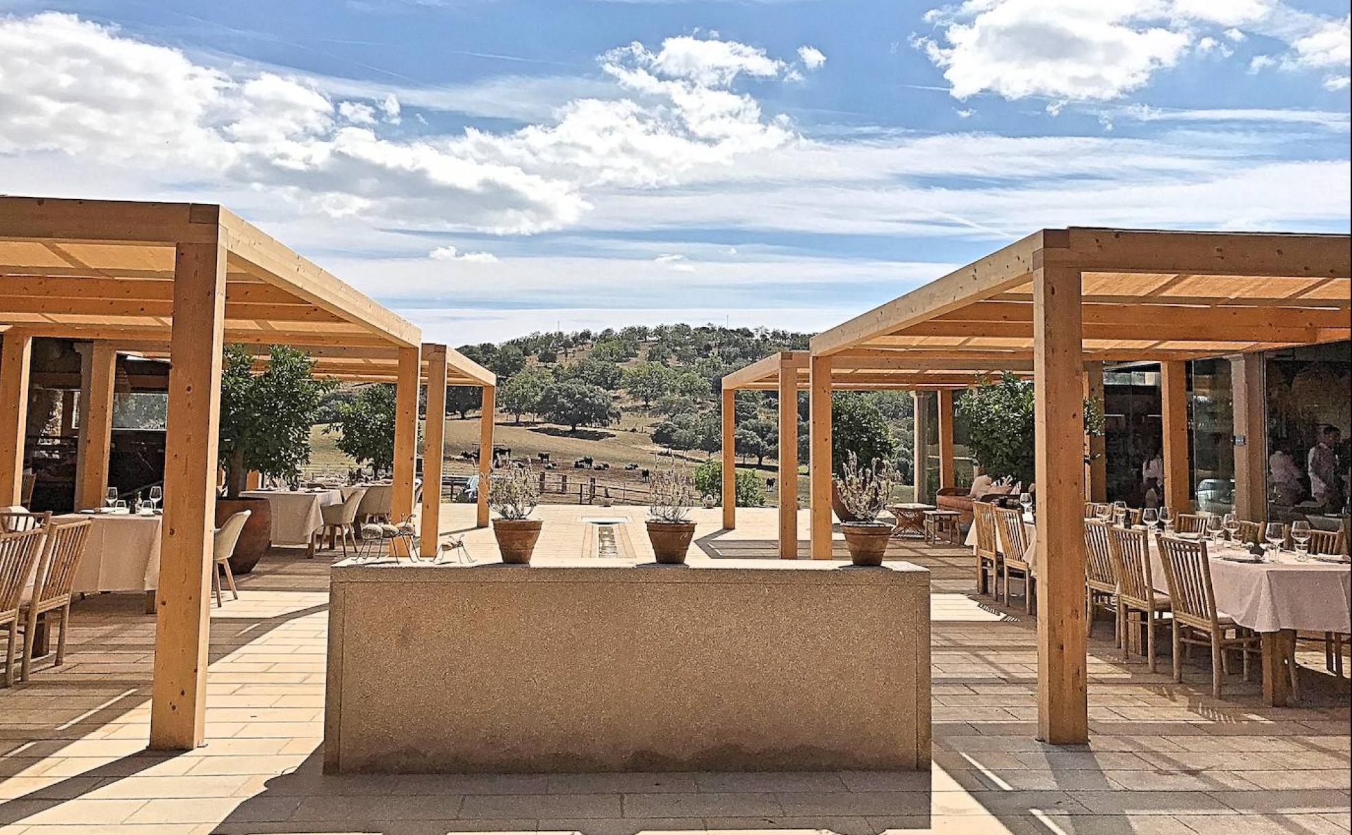Hábitat Cigüeña Negra: Comer en medio de la dehesa