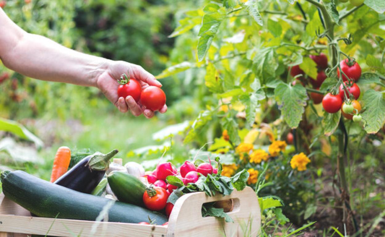 Más agricultoras en las zonas menos agrarias