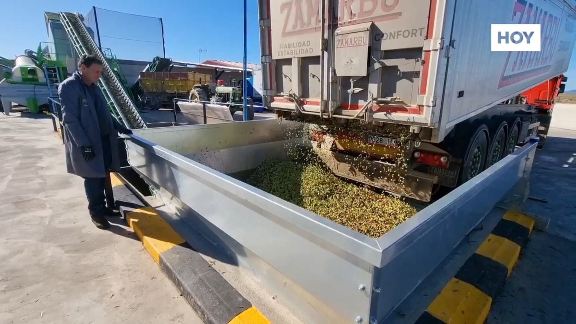 El aceite del olivar de regadío aguanta el impacto