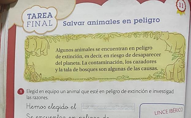 Libro de la Editorial SM que señala a los cazadores como causantes de la desaparición de especies.
