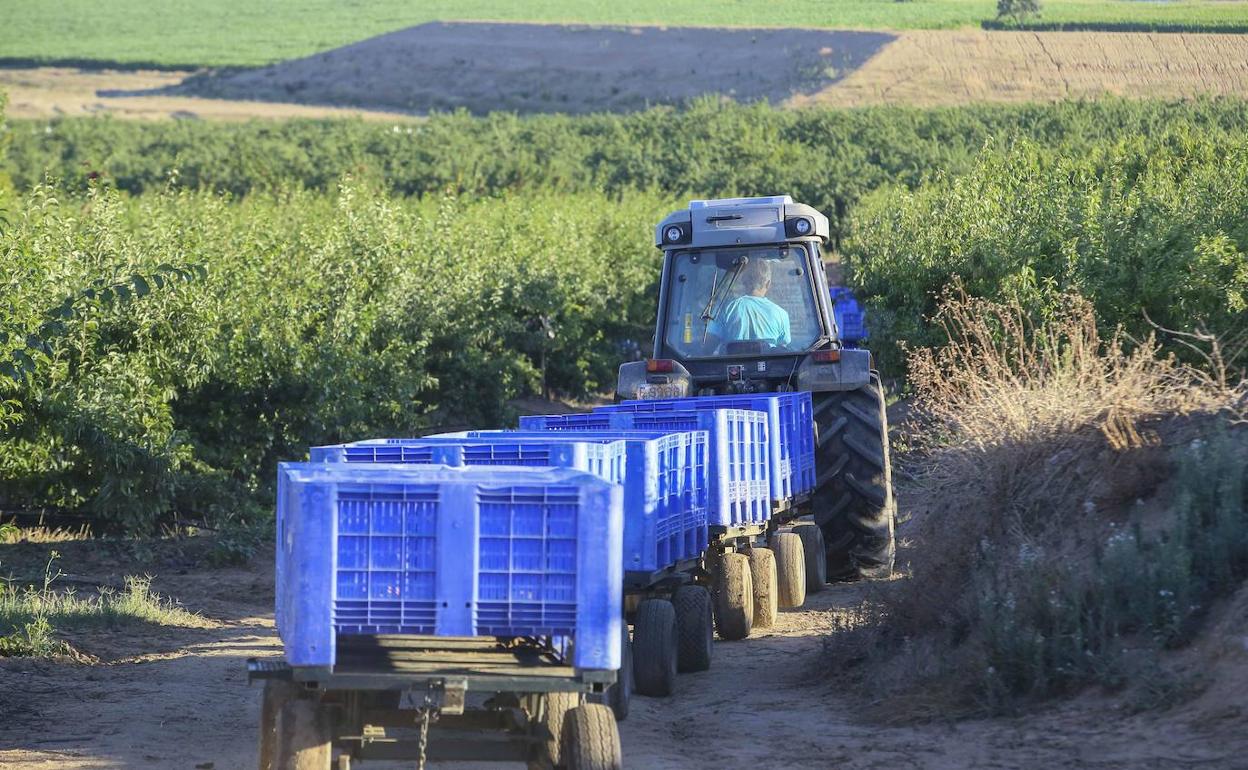 Los sueldos medios han bajado en Extremadura en 2021.