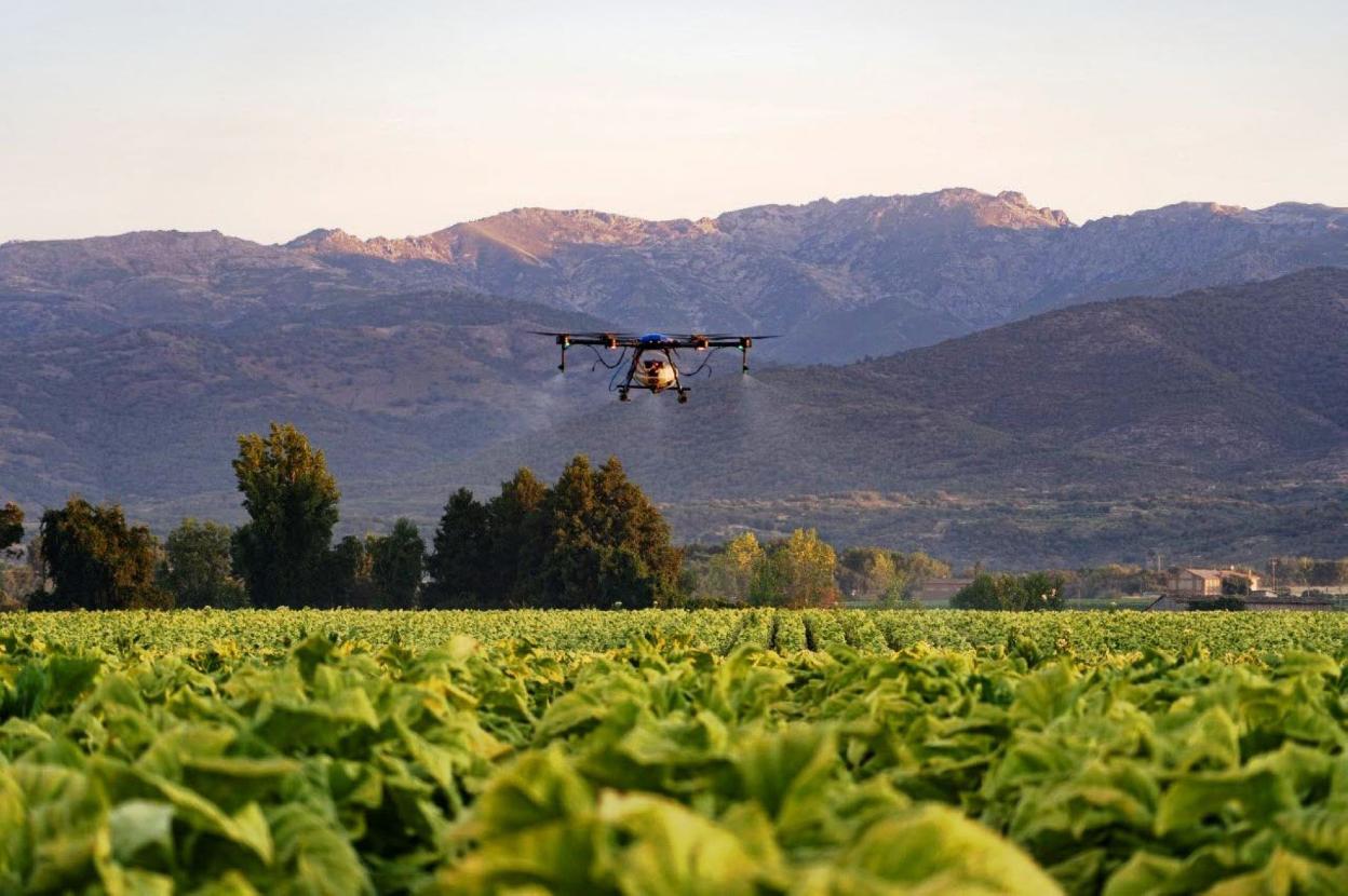 El futuro del campo extremeño pasa por su digitalización. 
