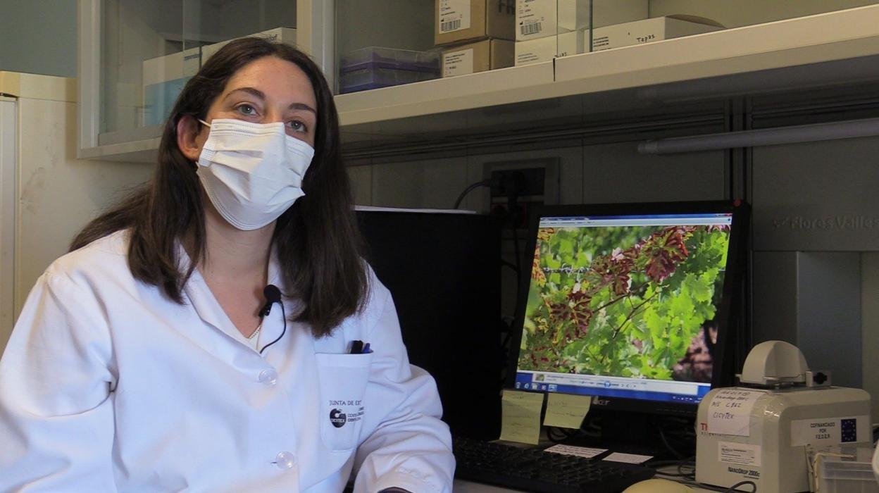 Laura Martín es investigadora de Cicytex. 