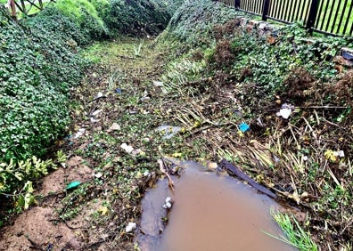 Imagen secundaria 1 - Imágenes tomadas en Fuente Fría desde el viernes, con restos de basura en el cauce y varias zonas inundadas. 