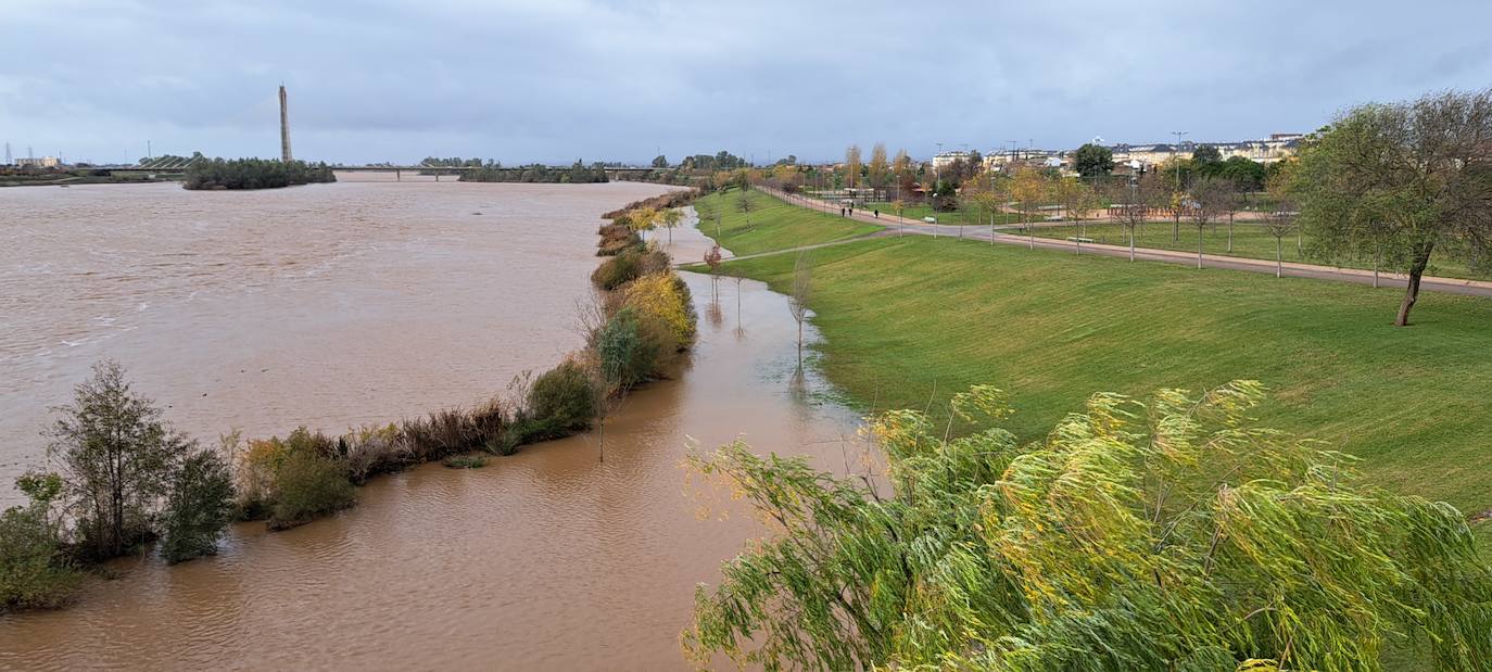 Crecida del Guadiana en Badadoz, visto desde el Puente de la Universidad. 