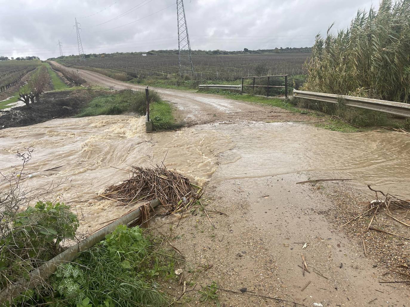 Uno de los caminos que se tuvieron que cortar. 