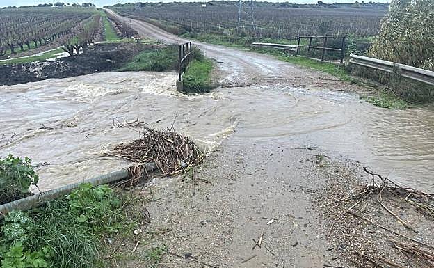 Imagen principal - Efraín deja árboles caídos y caminos cortados en Calamonte