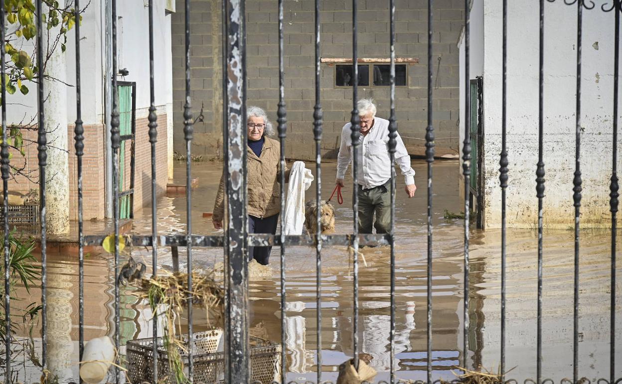 Unos amigos rescatando animales de la finca de los Vizuete en Casas Aisladas de Gévora. 