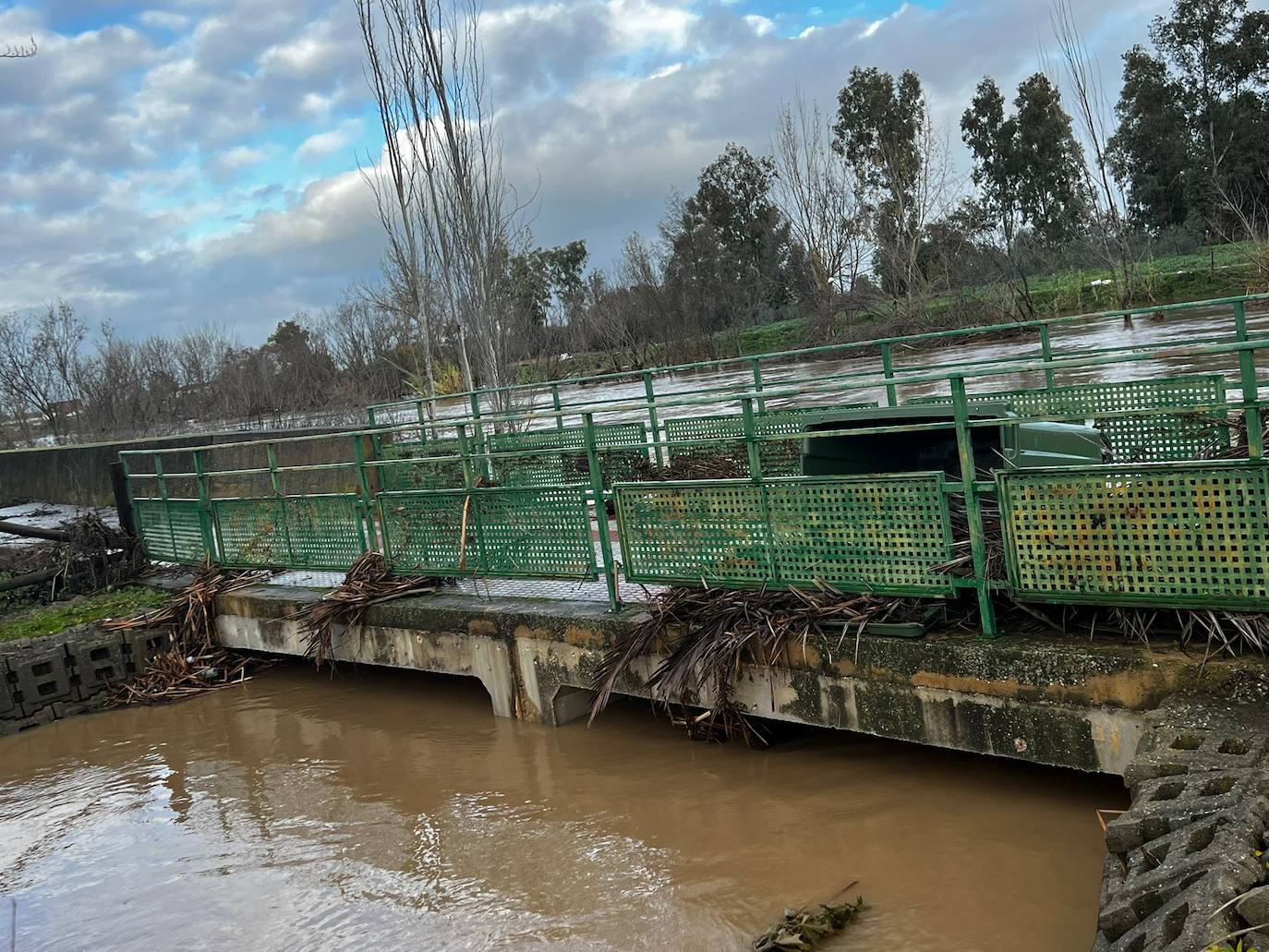 Terrenos anegados en Madrigalejo. 