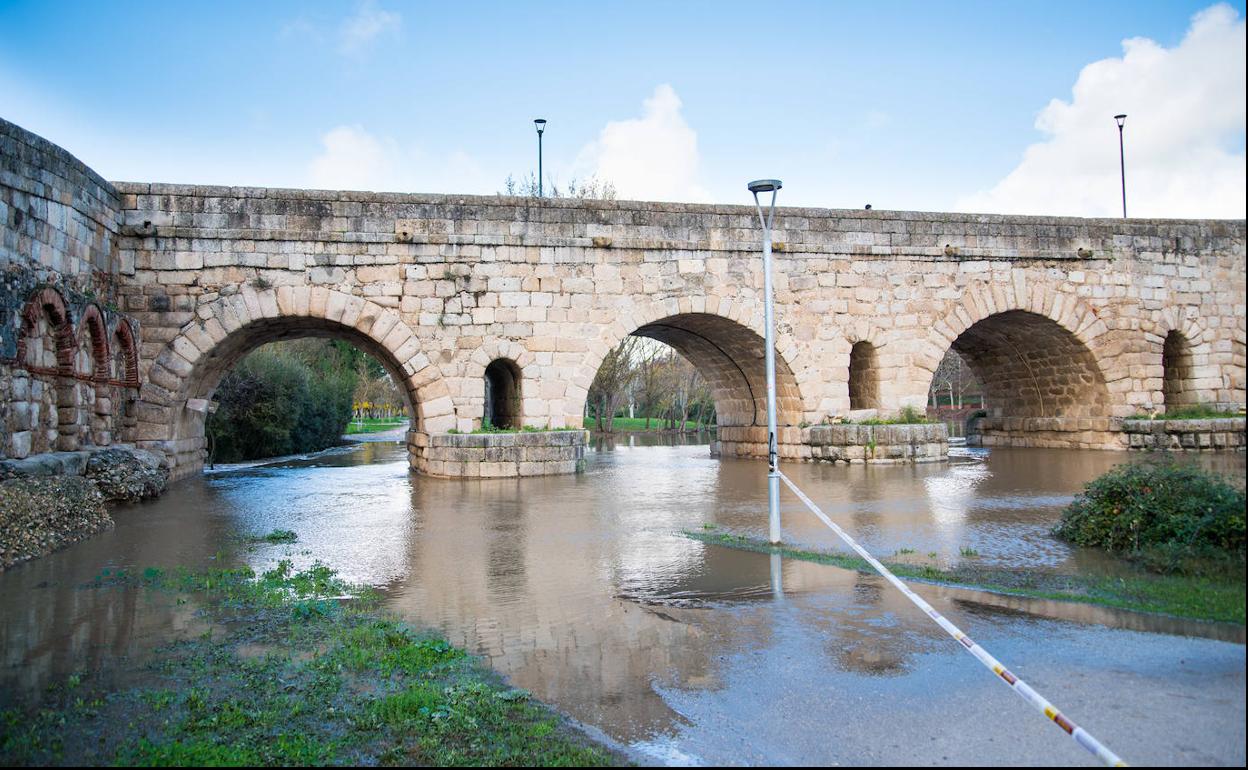 La crecida del río Guadiana a su paso por Mérida inunda los caminos del paseo fluvial.